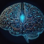 the human brain