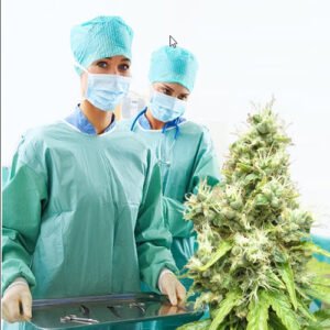 Cannabis Care Manual