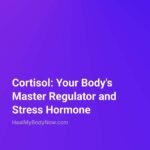 Lifestyle Hub 101 cortisol