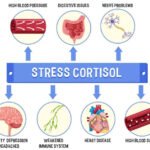 cortisol