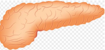 pancreatic cancer