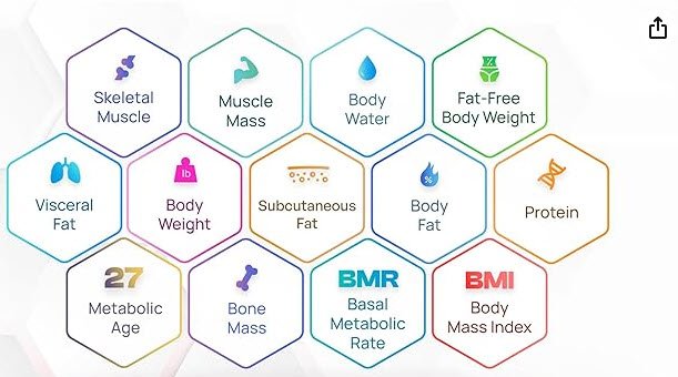 body fat scale