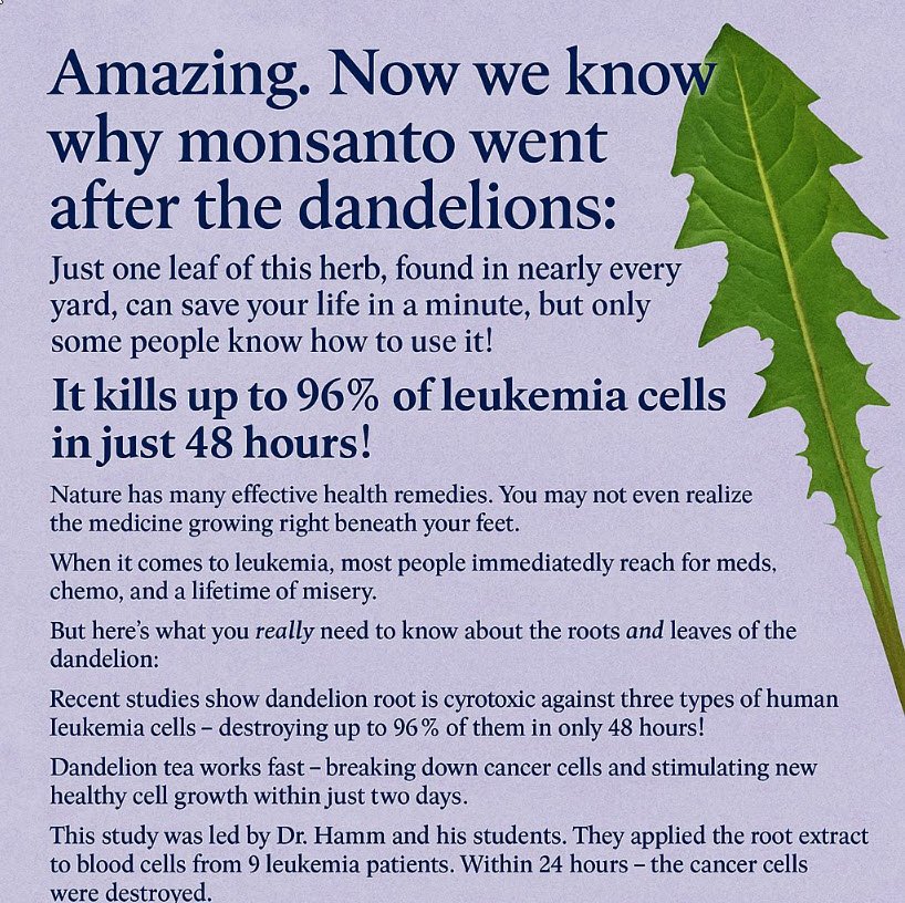dandelions
