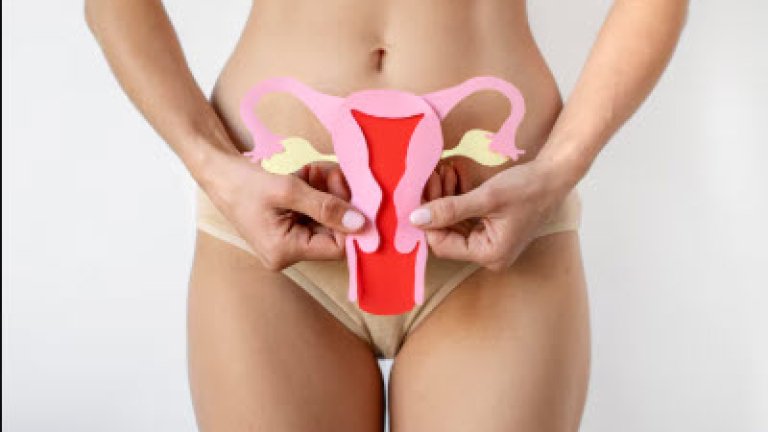 cervix2