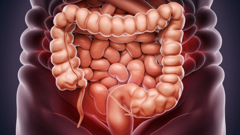 colon