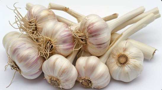 garlic
