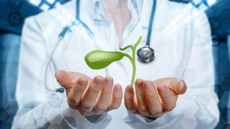 The concept of treatment of the gallbladder. Doctor shows gallbladder on blurred background. gall bladder1